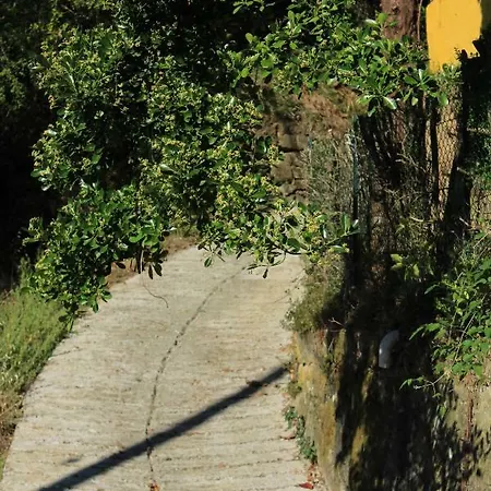 La Torretta *
